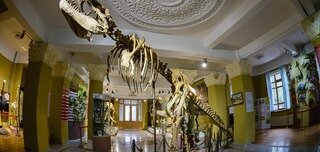Museum of Nature consists of paleontological and zoological collections, which illustrate changing nature of Kazakhstan from ancient times to the present day. The pride of the museum is the skeleton exposition of giant rhinoceros, mammoth and six-meter skeleton of Tarbosaurus - congener carnivorous dinosaur. 
